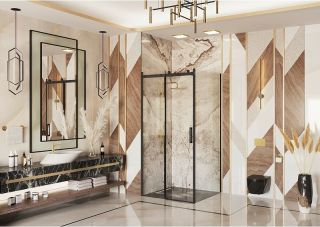 Боковая стенка Ambassador Benefit 110HB 110см чёрный/прозрачное