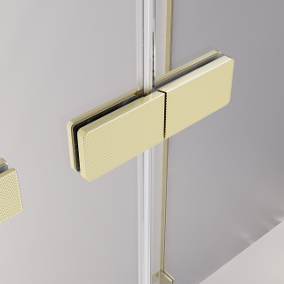 Душевая дверь распашная Veconi Premium Alassio G, 1500х2000, брашированное золото, стекло прозрачное осветленное