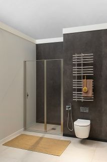 Душевая дверь Allen Brau Priority 100 3.31029.BA профиль Серебро браш