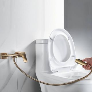 Гигиенический душ со смесителем Shevanik S9905G-1 золотой сатин