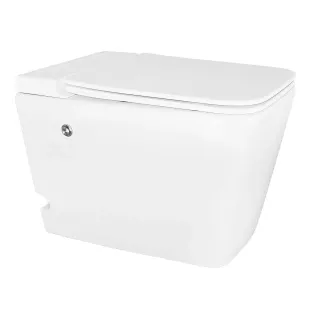 Унитаз Azario AZ-101 A приставной импульсный с сиденьем микролифт