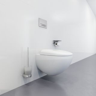 Ершик Am.pm Sensation A3033300