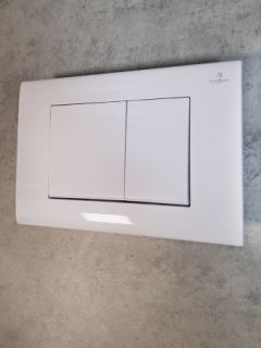 Кнопка смыва AltroBagno PFP 001AQ