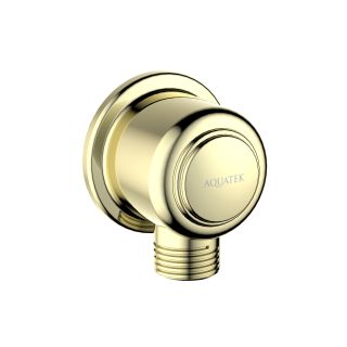 Шланговое подсоединение Aquatek AQ2461PG золото