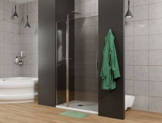 Душевая дверь Allen Brau Priority 3.31001.00G профиль хром