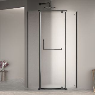 Душевой уголок RGW PA-081B 35088122-24 120x120см чёрный