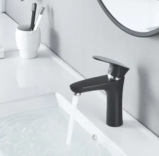 Смеситель для раковины Shevanik S9801H чёрный/хром