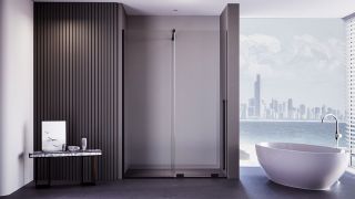 Душевая дверь Veconi Premium Trento PTDW-50B, 1100x2000, черный матовый, стекло прозрачное