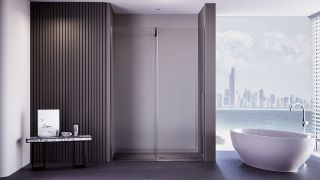 Душевая дверь Veconi Premium Trento PTDW-50GR, 1100x2000, брашированный графит, стекло прозрачное