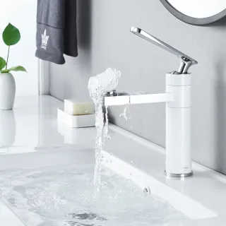 Смеситель для раковины Shevanik S6601F с поворотным носиком белый/хром